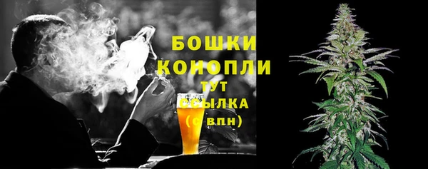 spice Верхний Тагил