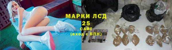 ешки Липки