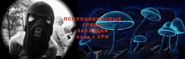 гашик Лихославль