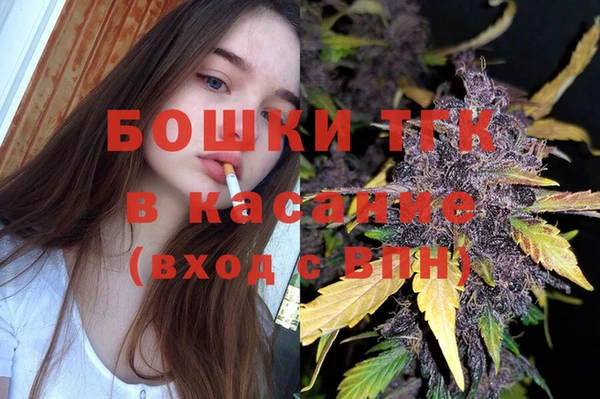шишки Верея