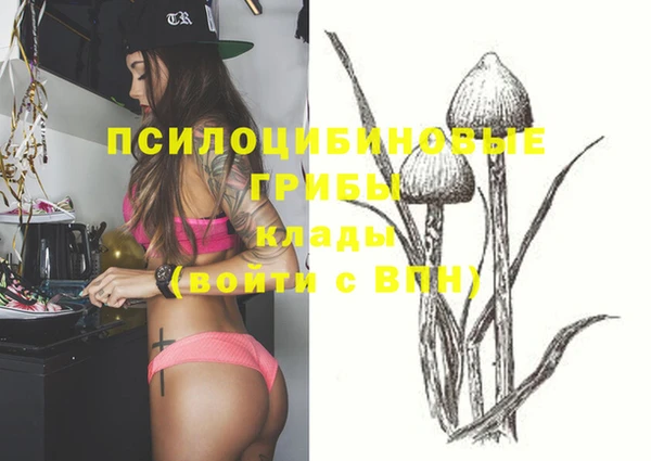 гашик Лихославль