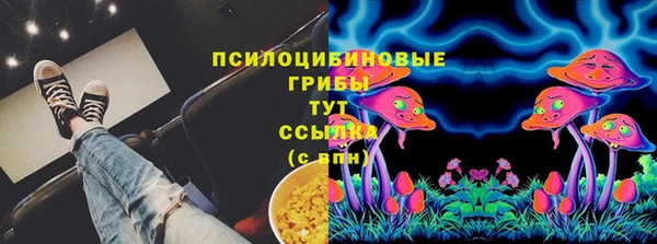 гашик Лихославль