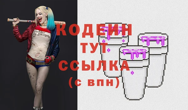шишки Верея